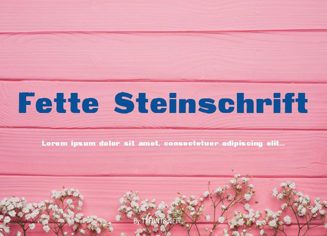 Fette Steinschrift example